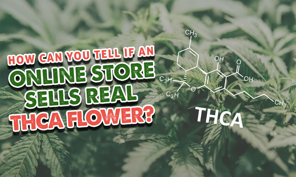 THC-A plants with chemical formula with text 